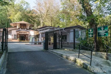 Тисо-самшитовий гай в хості і прогулянка по джунглях, мій відгук (каньйон «Чортові ворота») Тисо-самшитовий гай в хості і прогулянка по джунглях, мій відгук