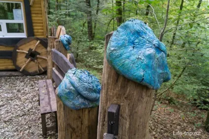 Тисо-самшитовий гай в хості і прогулянка по джунглях, мій відгук (тисо-самшітовая) Тисо-самшитовий гай в хості і прогулянка по джунглях, мій відгук