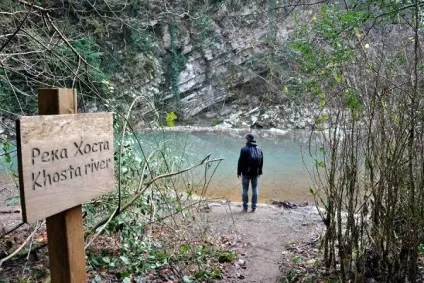 Тисо самшітовая гай як дістатися з Адлера, сочи, самостійно на машині, опис