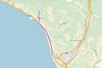 Тисо самшітовая гай як дістатися з Адлера, сочи, самостійно на машині, опис