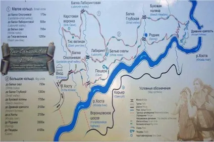 Тисо самшітовая гай як дістатися з Адлера, сочи, самостійно на машині, опис
