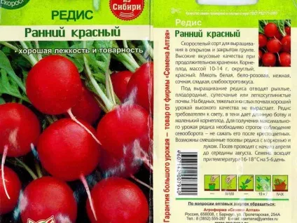 Технологія вирощування редиски в відкритому грунті відео посадки і догляду, фото кращих сортів (редиски) Технологія вирощування редиски в відкритому грунті відео посадки і догляду, фото кращих сортів