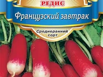 Технологія вирощування редиски в відкритому грунті відео посадки і догляду, фото кращих сортів (грунті) Технологія вирощування редиски в відкритому грунті відео посадки і догляду, фото кращих сортів