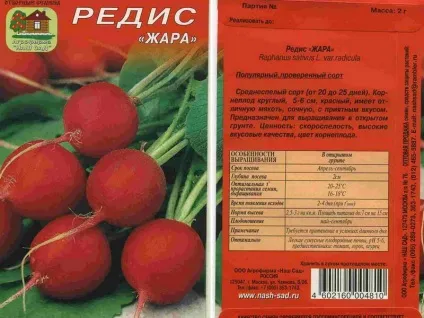 Технологія вирощування редиски в відкритому грунті відео посадки і догляду, фото кращих сортів (відкритому) Технологія вирощування редиски в відкритому грунті відео посадки і догляду, фото кращих сортів