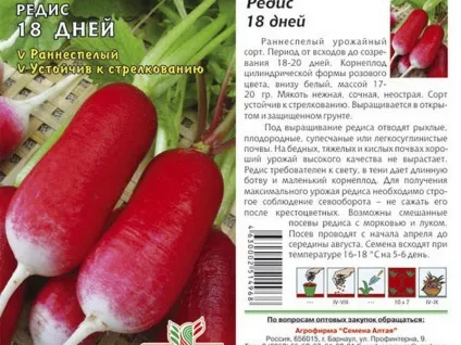 Технологія вирощування редиски в відкритому грунті відео посадки і догляду, фото кращих сортів (відкритому) Технологія вирощування редиски в відкритому грунті відео посадки і догляду, фото кращих сортів