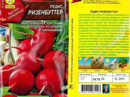 Технологія вирощування редиски в відкритому грунті відео посадки і догляду, фото кращих сортів (грунті) Технологія вирощування редиски в відкритому грунті відео посадки і догляду, фото кращих сортів