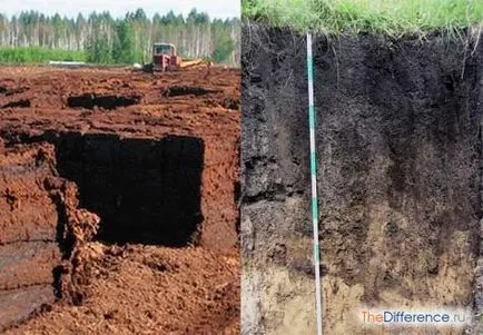 Чим відрізняється торф від чорнозему