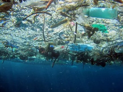 A műanyag káros, és hogyan kell használni, hogy kevesebb műanyagot a mindennapi életben, hogyan kell menteni a bolygót