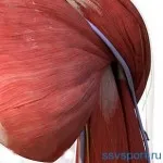 Що можна їсти на ніч (ніч) Що можна їсти на ніч