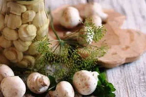 Ce se poate face de ciuperci conservate site-ul de ciuperci rapid și gustos