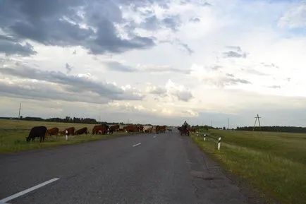 Ceea ce lucrează în agricultură