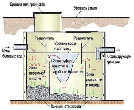 Ce este Salvo septica resetată