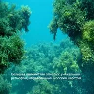 Diving Club Chernomor