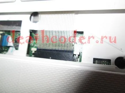 Death coder (asus eee pc1011cx) Death coder