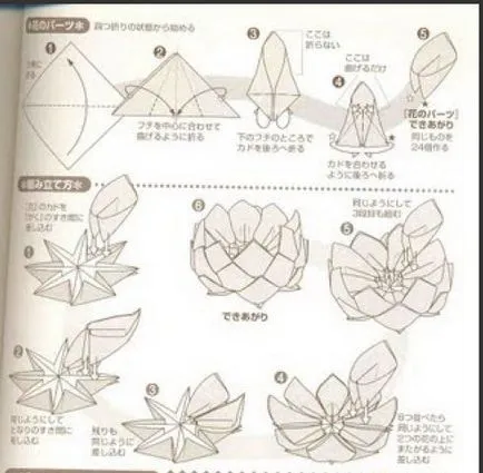 Virágzó elektrum (a mester osztály diagram) - kusudama - kézműves papírból - cikkek Directory