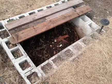 Dendrobena vierme (Veneta dendrobena) cultivarea și creșterea