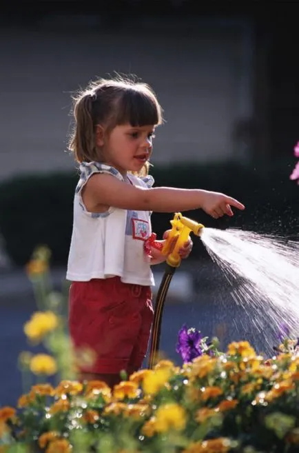 grădină pentru copii la opțiuni de proiectare și de selecție a plantelor, idei interesante, fotografii cabana