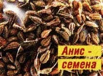 Трави приворотні, ви здорові