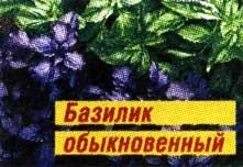 Трави приворотні, ви здорові