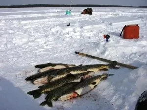 Тонкощі риболовлі секрети фахівців »(риболовлі) Тонкощі риболовлі секрети фахівців »
