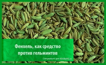 Трави від глистів список найбільш ефективних глистогінних трав (ефективних) Трави від глистів список найбільш ефективних глистогінних трав