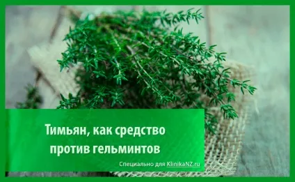 Трави від глистів список найбільш ефективних глистогінних трав (ефективних) Трави від глистів список найбільш ефективних глистогінних трав