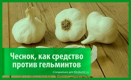 Трави від глистів список найбільш ефективних глистогінних трав (найбільш) Трави від глистів список найбільш ефективних глистогінних трав