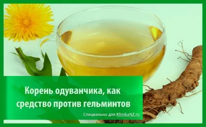 Трави від глистів список найбільш ефективних глистогінних трав (ефективних) Трави від глистів список найбільш ефективних глистогінних трав