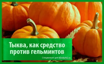 Трави від глистів список найбільш ефективних глистогінних трав (глистів) Трави від глистів список найбільш ефективних глистогінних трав