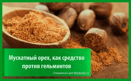 Трави від глистів список найбільш ефективних глистогінних трав (глистів) Трави від глистів список найбільш ефективних глистогінних трав