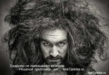 Триколор не вказує ввечері