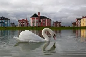 The Lake House oferă o imagine de ansamblu a unei țări - proprietate rurală - ziar