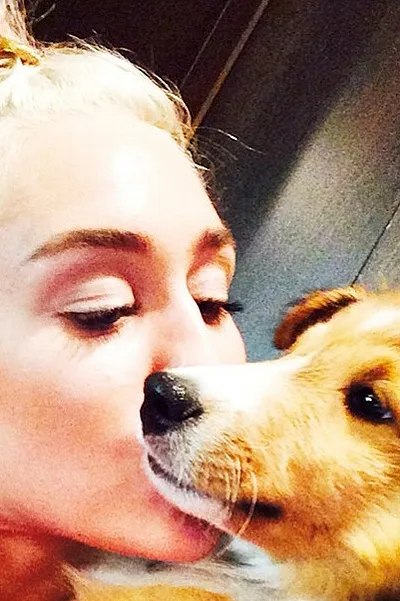 Dog Show Miley Cyrus și noul ei câine, celebritate