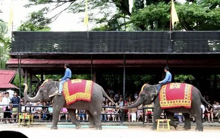 Atracții Thailanda (foto și descriere)