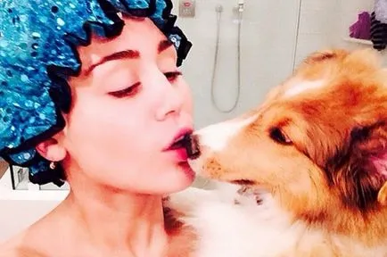 Dog Show Miley Cyrus și noul ei câine, celebritate