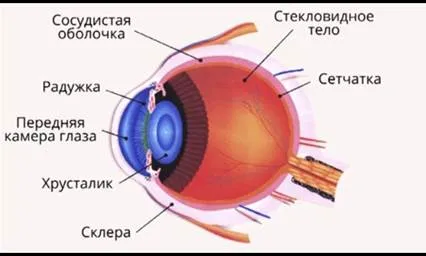 Физика 11 клас сграда изображение, създадено от леща