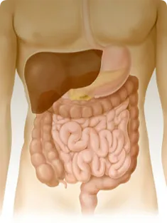 Colon hidroterapie - argumente pro și contra