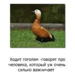 Тягнути тяганина, про все