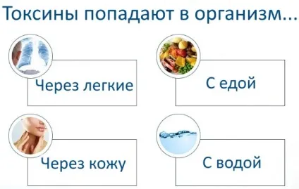 Вугільні таблетки для очищення організму (очищення) Вугільні таблетки для очищення організму