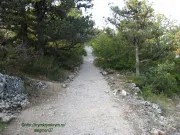 Mountain macska Simeiz