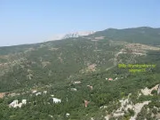 Mountain macska Simeiz