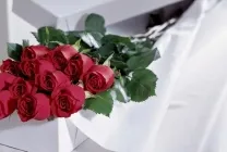 Holland rózsák fényképét és a nevét, főleg rózsaszín, mini, spray, a legjobb fajták, palánták, videó