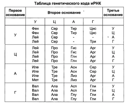 Ne pregătim pentru examen în biologie