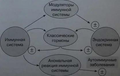 Sistemul imunitar si hormoni - Manualul Medical