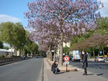 Încă o dată, Paris