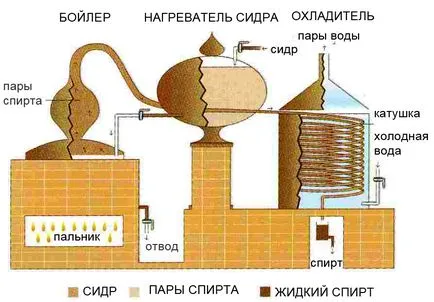 Това, което прави калвадос