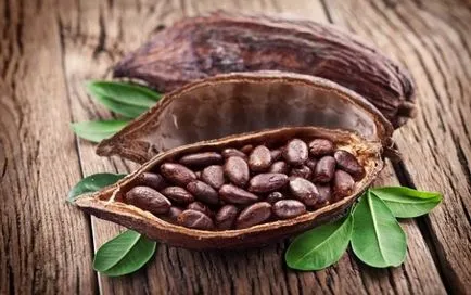 Cacao Beauty Hair