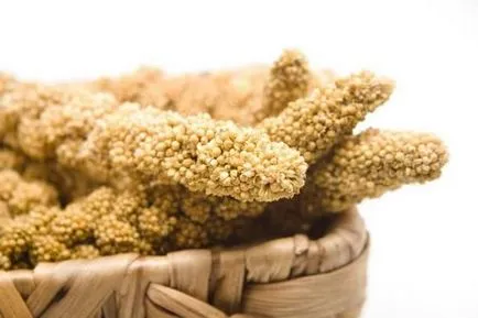 З якого злаку роблять пшоно корисні властивості продукту, ls