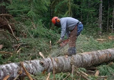 Milyen típusú idénymunka a téli és a nyári teljes listája