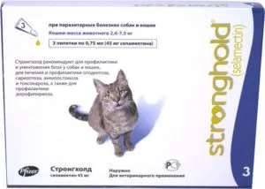 Вушний кліщ у кішок види зараження, симптоми і лікування (вушної) Вушний кліщ у кішок види зараження, симптоми і лікування